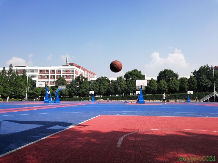 基层教练:现在练篮球的表面很多 但真正从事篮球的很少很少