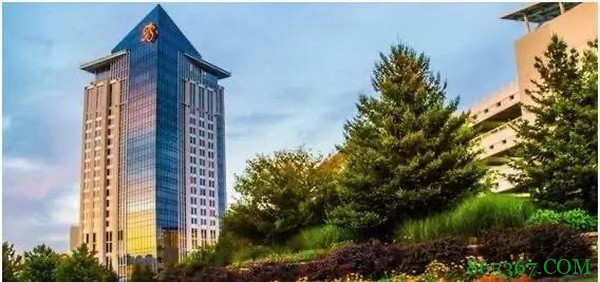 Polk vs 丹牛单挑赛 丹牛终结连败小胜$17K 2020年扑克名人堂名单提名