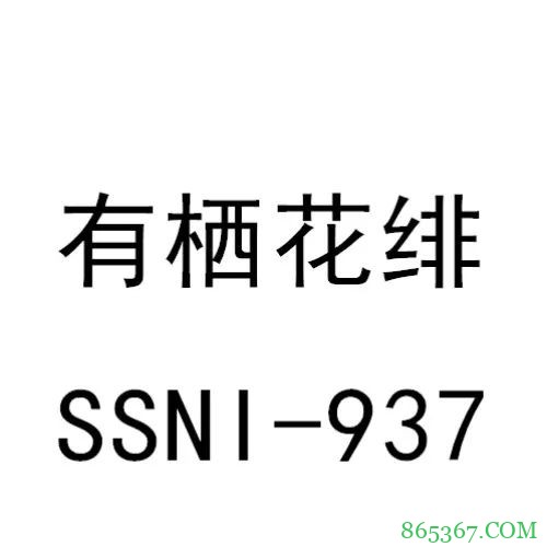 11月销量排名 新人成绩最好的是叶爱排名第十八