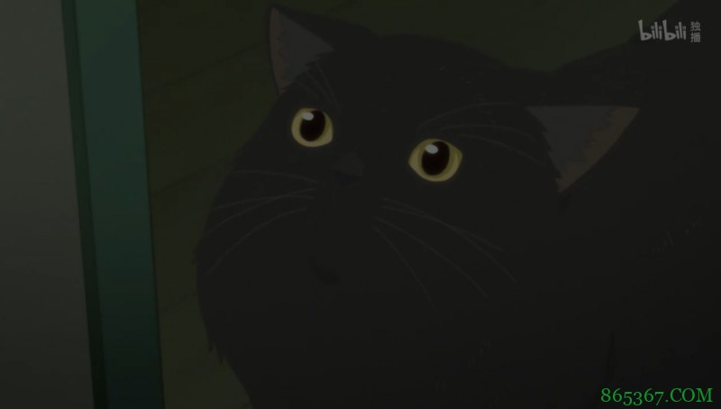 泡面番《她和她的猫》 只有四话却能让你看哭