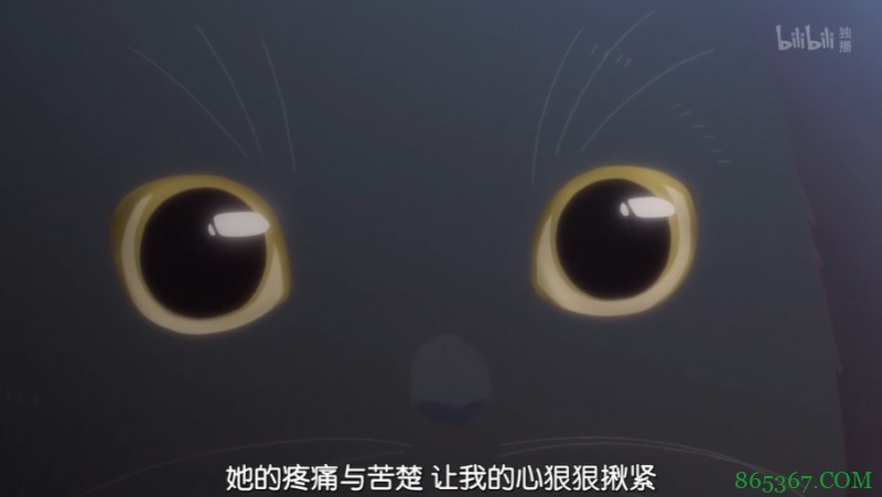 泡面番《她和她的猫》 只有四话却能让你看哭