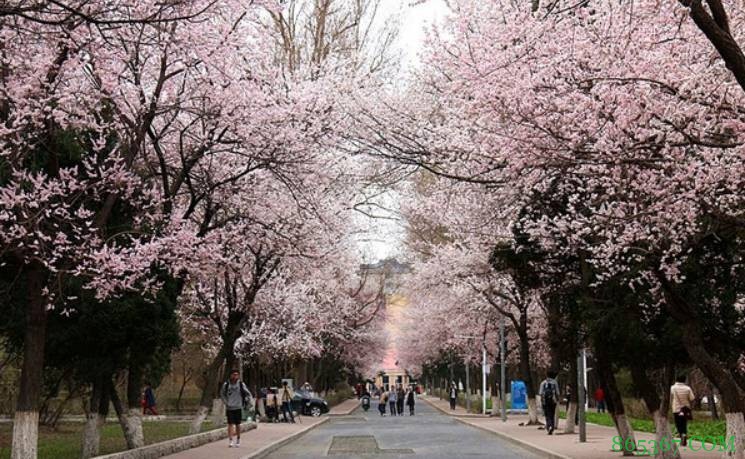 【夜谈会】你学生时代做过最疯狂的事情是什么？