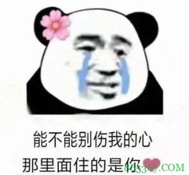 2021大发体育自由市场回顾:藏龙卧虎 牛气冲天