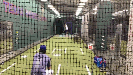 媒体调侃诺维茨基投掷棒球:你还是跳投比较帅