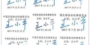 【大发体育】王小平曾在2017年开出152张罚单，罚款总额达到350万?，大发助力你的致富之路！