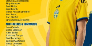 【大发体育】瑞典欧预赛名单：库卢、伊兰加、福斯贝里、林德洛夫在列，大发助力你的致富之路！