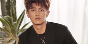 <?php the_title(); ?>