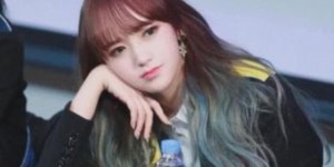 <?php the_title(); ?>