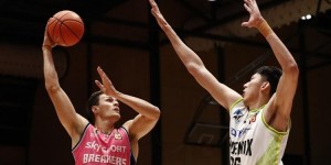 <?php the_title(); ?>