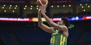 <?php the_title(); ?>