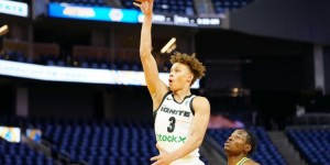 <?php the_title(); ?>