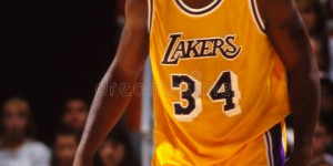 <?php the_title(); ?>