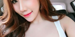 <?php the_title(); ?>