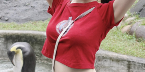 <?php the_title(); ?>