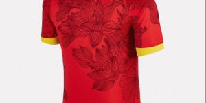 【大发体育】广州队新赛季主场球衣发布：红色为主体，饰有花朵图案，大发助力你的致富之路！