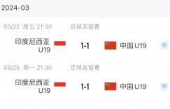 【大发体育】教科书归化！印尼国家队3杀越南 U23亚洲杯进4强 U19两次绝平中国，大发助力你的致富之路！