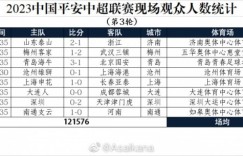 【大发体育】2023中国平安中超联赛现场观众人数统计 （第3轮） ​​​，大发助力你的致富之路！