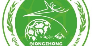 【大发体育】2024中国太平中国足球协会女子超级联赛各队Logo ​​​，大发助力你的致富之路！