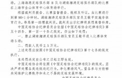 【大发体育】官方：湖南湘涛官员王敬平辱骂裁判，遭禁止入场5场罚款2.5万，大发助力你的致富之路！