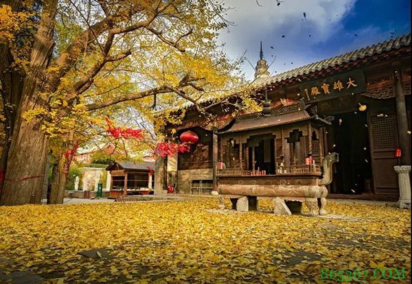 国家杯与您相约大明湖畔-济南赛事周边推介