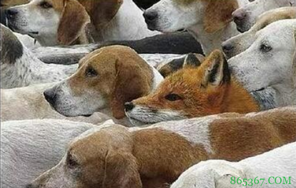 德州扑克讲述一个可信的故事