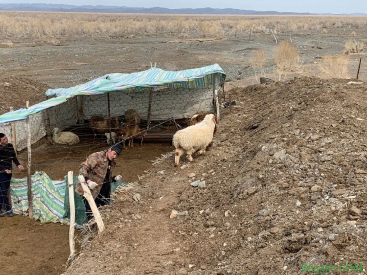 同曦发文介绍焦恩格尔:17岁放羊 18岁开始打球 25岁打上了CBA