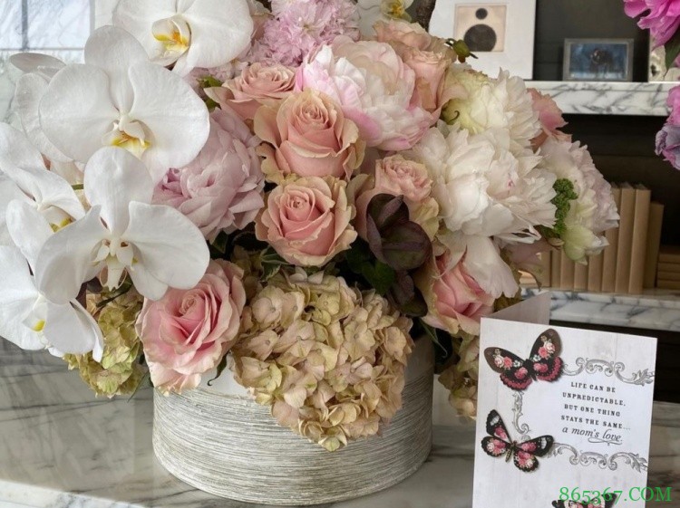 老詹母亲：能有你这样的儿子是我人生最大快乐！老詹：我的荣幸