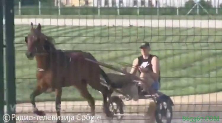 马龙：我和约基奇说我会去塞尔维亚 他说可以来但我找不到他