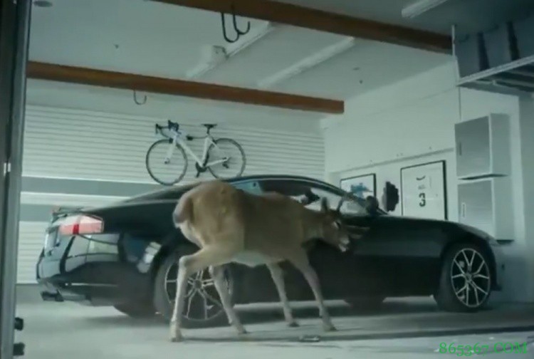 偶然的预兆？保罗昔日拍摄著名广告片曾被“雄鹿”大闹车库