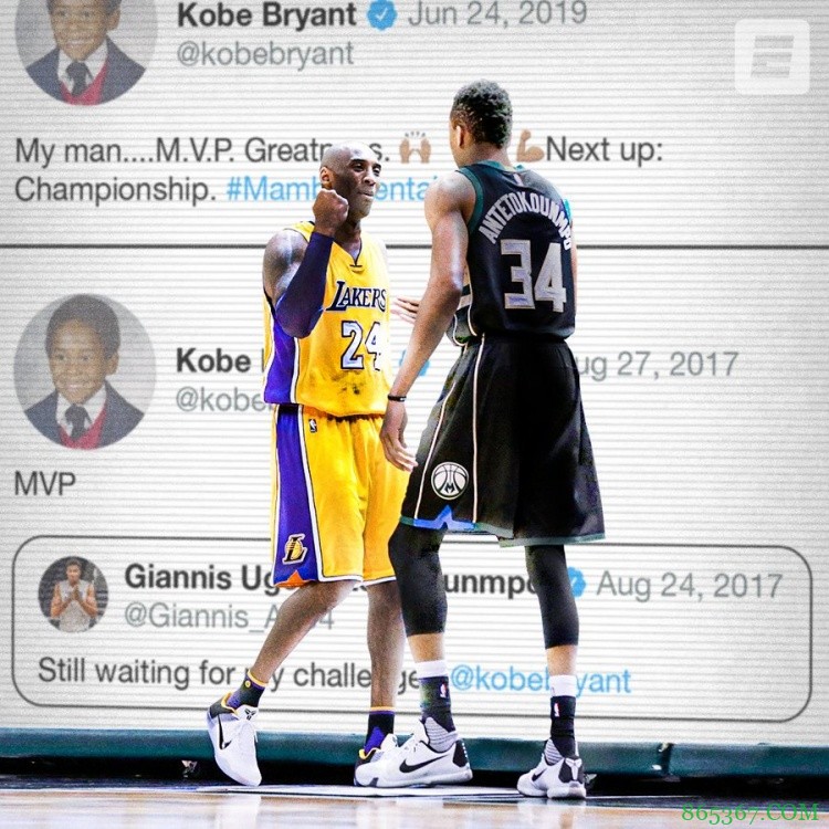 八年跋涉终登山巅 霸气字母新王当立