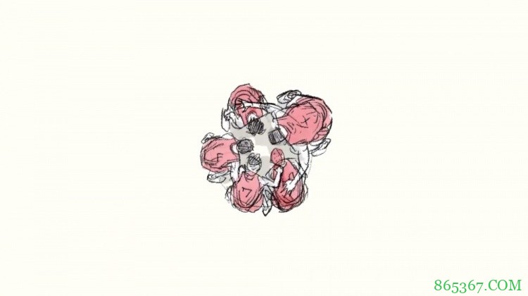 井上雄彦：《灌篮高手》剧场版2022年秋天上映