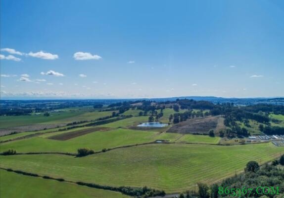 生意人！CJ买下葡萄庄园 成为NBA中首个拥有该类地产的现役球员