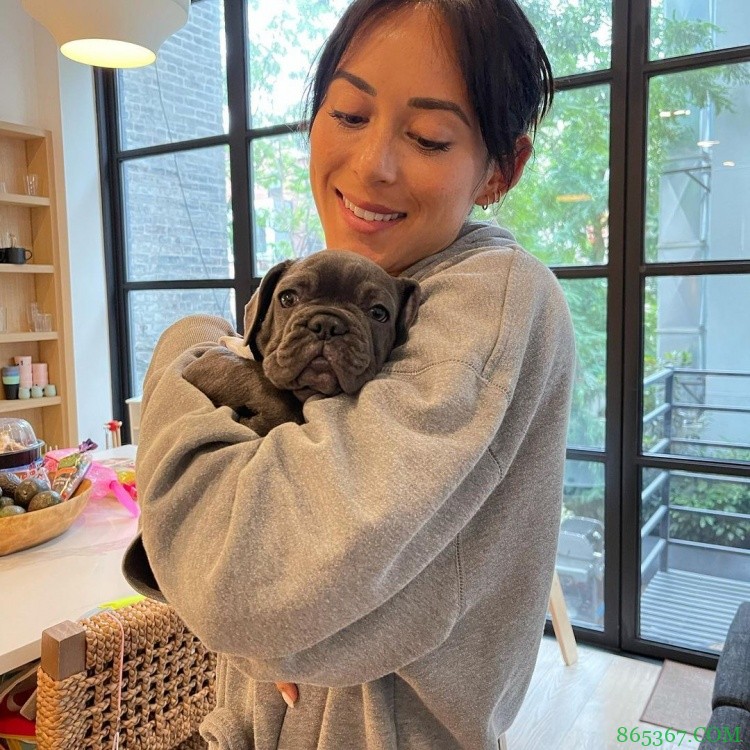 新的家庭成员!纳什妻子更新INS晒一只小狗 名字叫做Lu