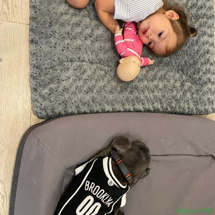 新的家庭成员!纳什妻子更新INS晒一只小狗 名字叫做Lu