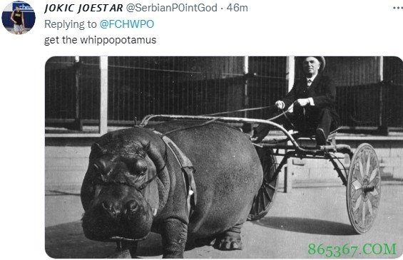 杰伦-布朗发推征询购车建议 评论区秒变“车友会”&搞笑内容乱入