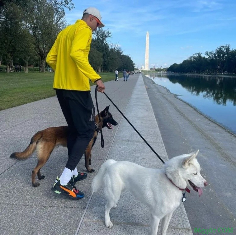 库兹马晒华盛顿风景照引詹姆斯评论 前者回复：晚餐我请！