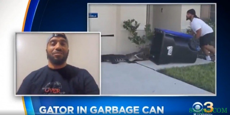 用垃圾桶“单吃”鳄鱼的小哥：我不是本-西蒙斯 我要投进这球