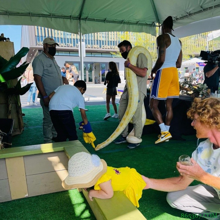 慎入！霍华德社媒更新与鳄鱼、蟒蛇的合影