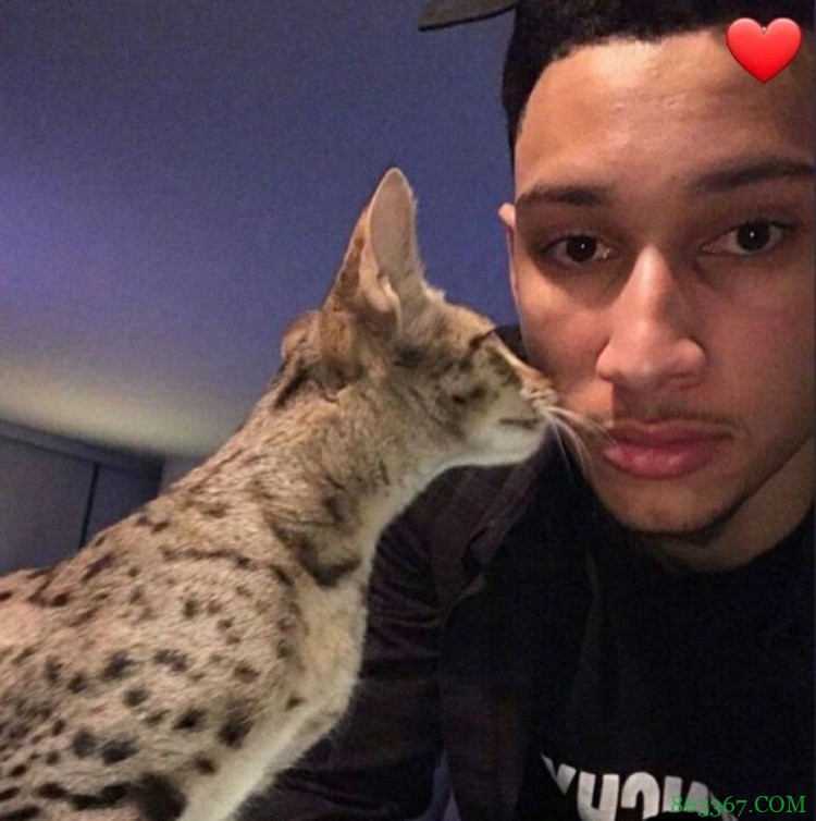 【NBA球员的第一桶金】詹姆斯买游乐园门票 本西10000刀买猫