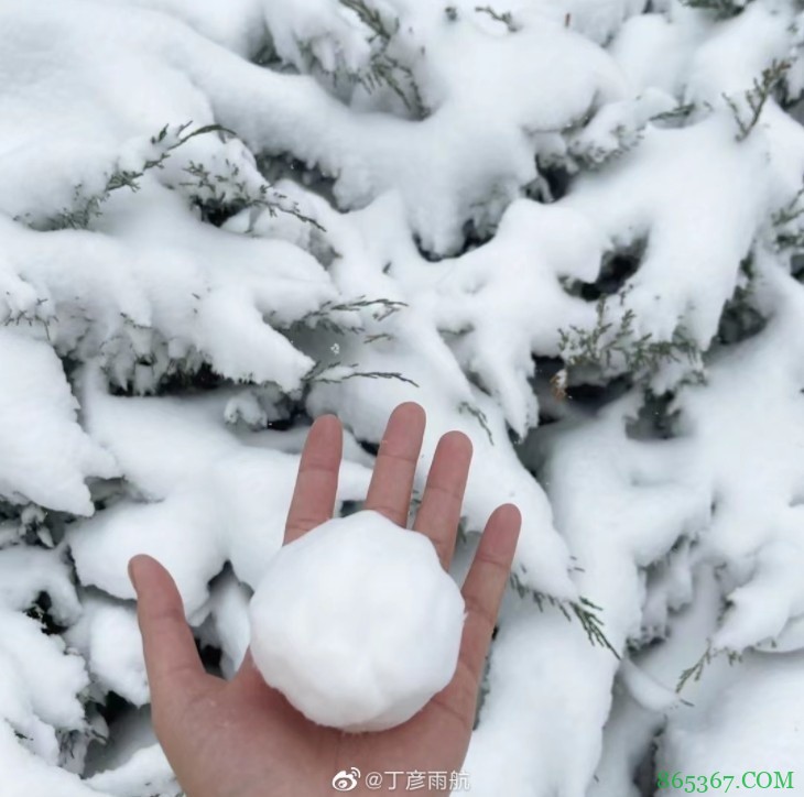 丁彦雨航：大家的祝福和关心我都收到了 没啥事儿别担心
