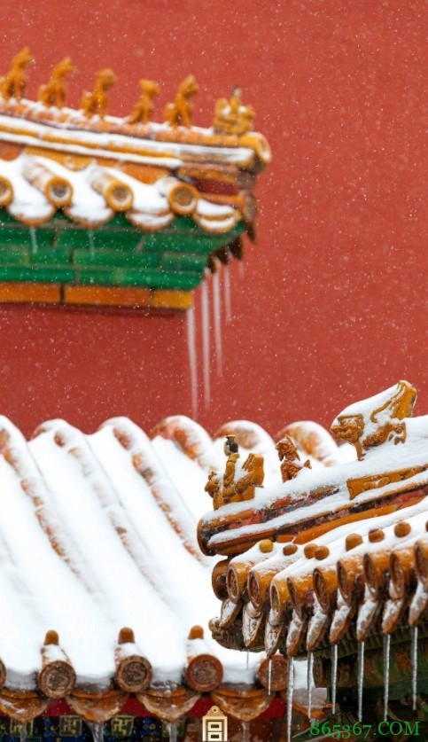 丁彦雨航：大家的祝福和关心我都收到了 没啥事儿别担心