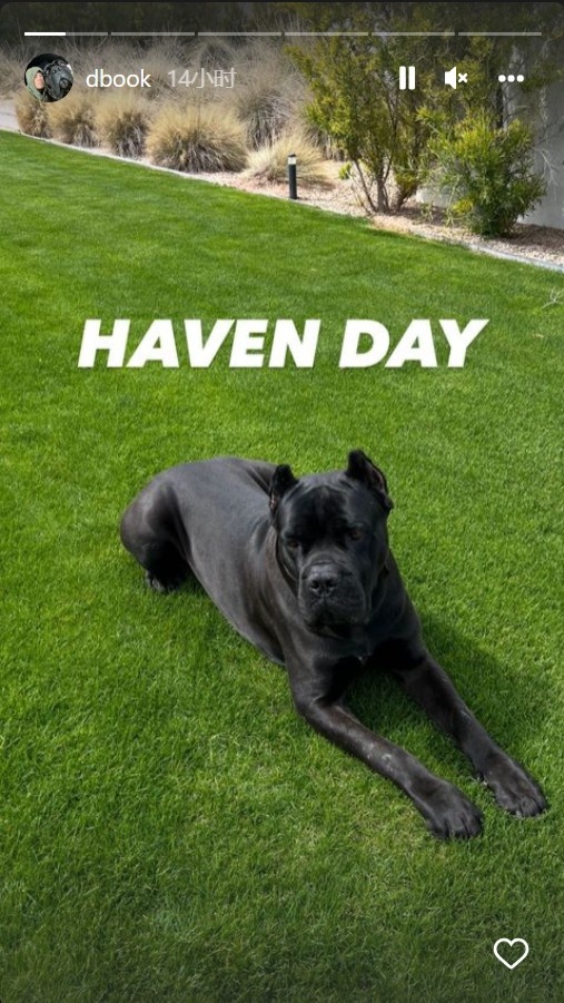 布克更新ins晒休赛期日常：和爱犬Haven一起度过的一天