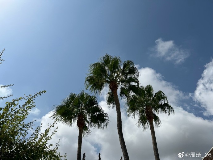 再次化身天气播报员!周琦晒出晴朗天空 并附上7个?表情