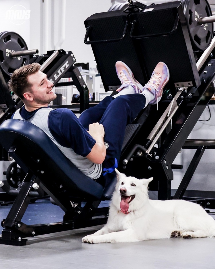 独行侠官推晒东契奇、基德等人与爱犬合影:每天都是国际狗狗日