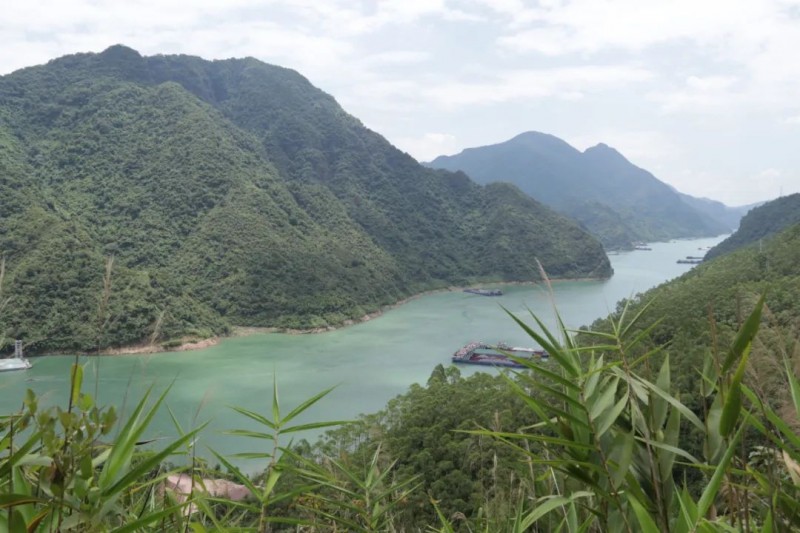 赵环宇:毁掉中国篮球的方法有很多 归化球员绝不是其中之一