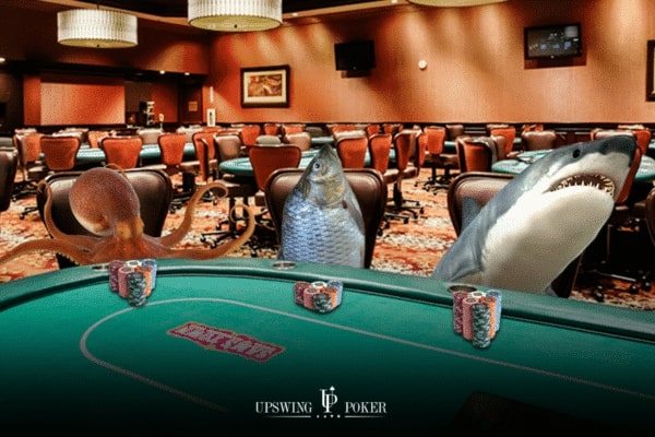 【EV扑克】你在线下cash是鱼还是鲨?结果可能会让你重新认识自己