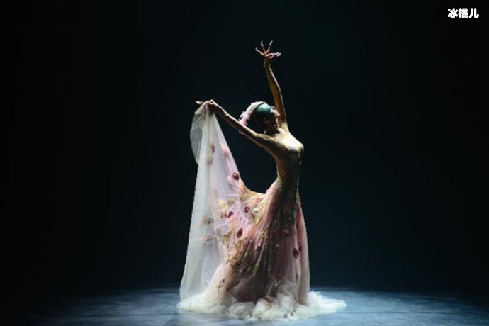 杨丽萍火锅店假吃被热议,网友却被她头顶鲜花吸引花虽美但有毒