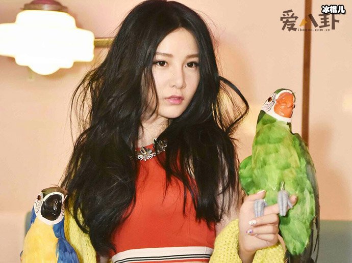 本兮男友小E是赵越前吗? 起底其个人资料他现任是谁