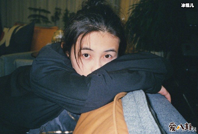 张子枫高中在哪里读? 艺考成河南第一张子枫今年备战高考