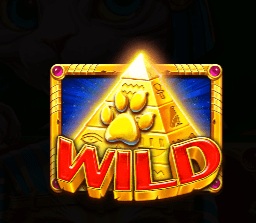 埃及神猫:探寻古埃及的未解之谜